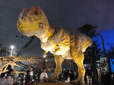 福井県立恐竜博物館に投稿された画像（2024/4/13）