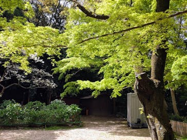 京阪電車に投稿された画像（2024/4/13）