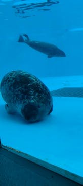 鴨川シーワールドに投稿された画像（2024/4/13）