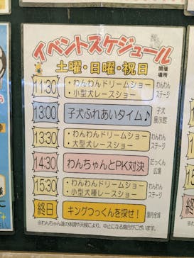 つくばわんわんランドに投稿された画像（2024/4/13）