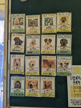 つくばわんわんランドに投稿された画像（2024/4/13）