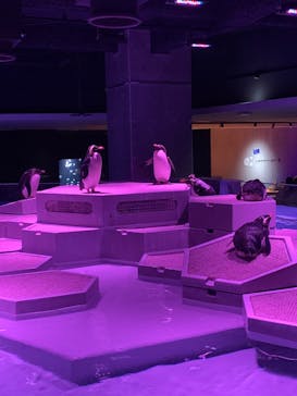 AOAO SAPPOROに投稿された画像（2024/4/13）