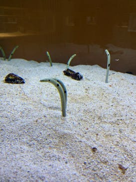 AOAO SAPPOROに投稿された画像（2024/4/13）