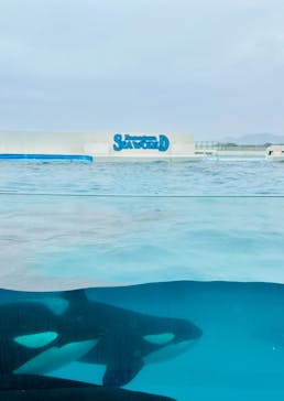 鴨川シーワールドに投稿された画像（2024/4/13）