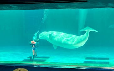 鴨川シーワールドに投稿された画像（2024/4/13）