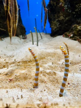 鴨川シーワールドに投稿された画像（2024/4/13）