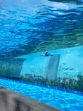 サンシャイン水族館に投稿された画像（2024/4/13）