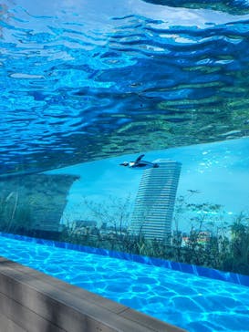 サンシャイン水族館に投稿された画像（2024/4/13）