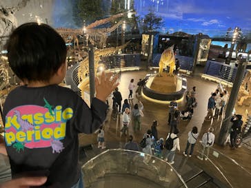 福井県立恐竜博物館に投稿された画像（2024/4/13）