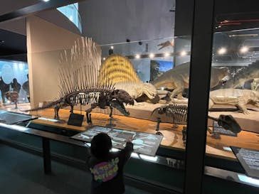 福井県立恐竜博物館に投稿された画像（2024/4/13）