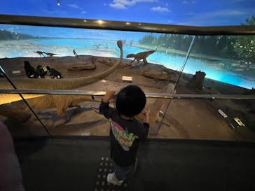 福井県立恐竜博物館に投稿された画像（2024/4/13）