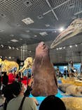 特別展「大哺乳類展３－わけてつなげて大行進」に投稿された画像（2024/4/14）