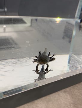 AOAO SAPPOROに投稿された画像（2024/4/13）