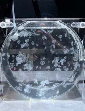 AOAO SAPPOROに投稿された画像（2024/4/13）