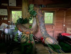 御菓子御殿　名護店　やんばる亜熱帯の森DINO恐竜PARKに投稿された画像（2024/4/13）