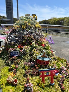 浜名湖花博2024に投稿された画像（2024/4/13）