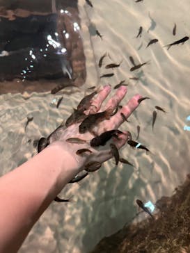 DMMかりゆし水族館に投稿された画像（2024/4/13）