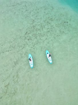 ちゃこたびに投稿された画像（2024/4/14）