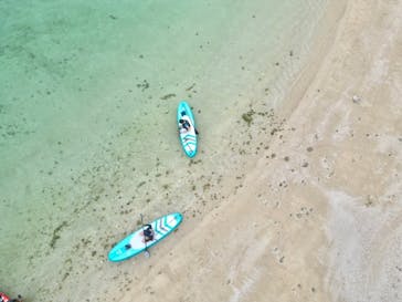 ちゃこたびに投稿された画像（2024/4/14）