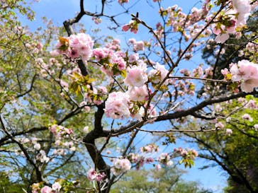 浜名湖花博2024に投稿された画像（2024/4/14）