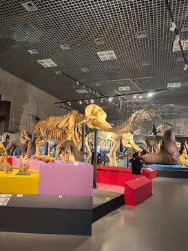 特別展「大哺乳類展３－わけてつなげて大行進」に投稿された画像（2024/4/14）