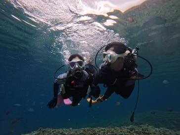 沖縄マリンサービス碧に投稿された画像（2024/4/14）