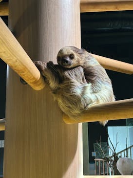 DMMかりゆし水族館に投稿された画像（2024/4/14）