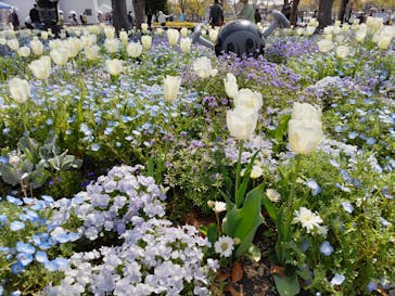 浜名湖花博2024に投稿された画像（2024/4/14）