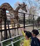 宇都宮動物園に投稿された画像（2024/4/14）