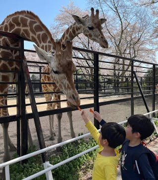 宇都宮動物園に投稿された画像（2024/4/14）