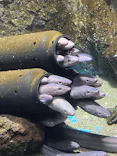 仙台うみの杜水族館に投稿された画像（2024/4/14）