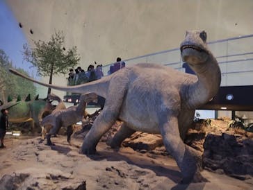 福井県立恐竜博物館に投稿された画像（2024/4/14）