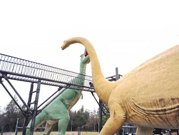 福井県立恐竜博物館に投稿された画像（2024/4/14）