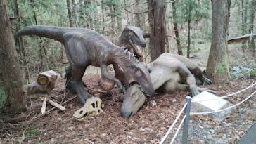 福井県立恐竜博物館に投稿された画像（2024/4/14）