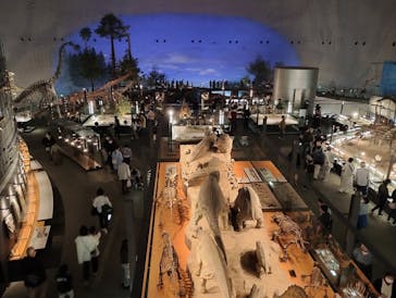 福井県立恐竜博物館に投稿された画像（2024/4/14）