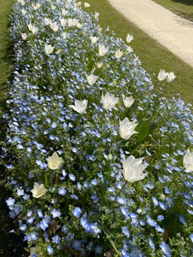 浜名湖花博2024に投稿された画像（2024/4/14）