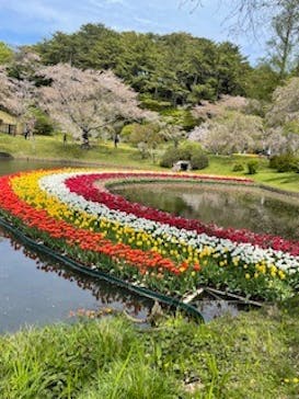 浜名湖花博2024に投稿された画像（2024/4/14）