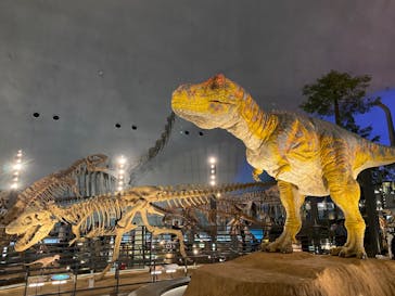 福井県立恐竜博物館に投稿された画像（2024/4/14）