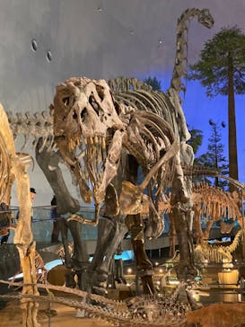 福井県立恐竜博物館に投稿された画像（2024/4/14）