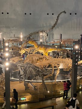 福井県立恐竜博物館に投稿された画像（2024/4/14）