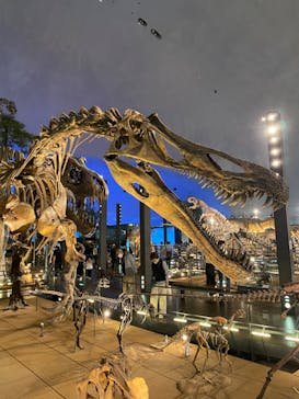 福井県立恐竜博物館に投稿された画像（2024/4/14）