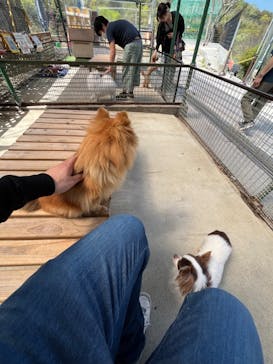 しろとり動物園に投稿された画像（2024/4/14）