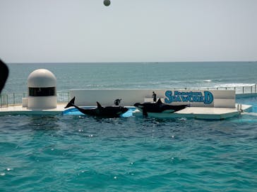 鴨川シーワールドに投稿された画像（2024/4/14）