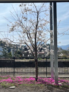 山梨泊まれる温泉　より道の湯に投稿された画像（2024/4/14）