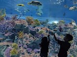 DMMかりゆし水族館に投稿された画像（2024/4/14）