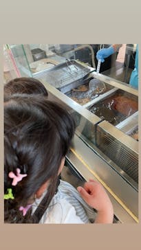 環境水族館アクアマリンふくしまに投稿された画像（2024/4/14）