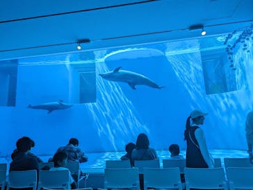 上越市立水族博物館 うみがたりに投稿された画像（2024/4/14）
