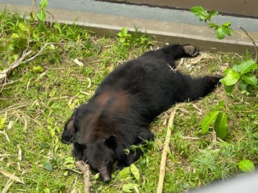 沖縄こどもの国に投稿された画像（2024/4/14）