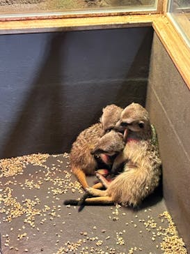 DMMかりゆし水族館に投稿された画像（2024/4/14）