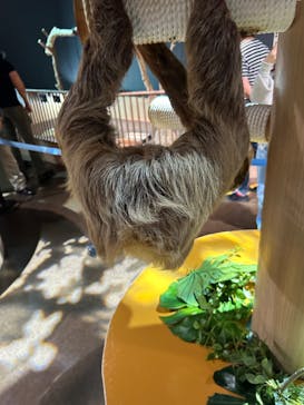 DMMかりゆし水族館に投稿された画像（2024/4/14）